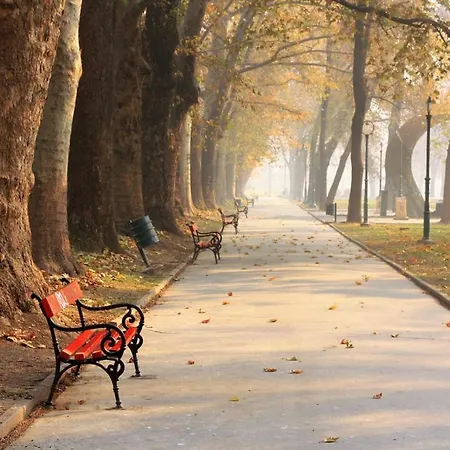 Bohemian Quarter / City Park, Free Parking